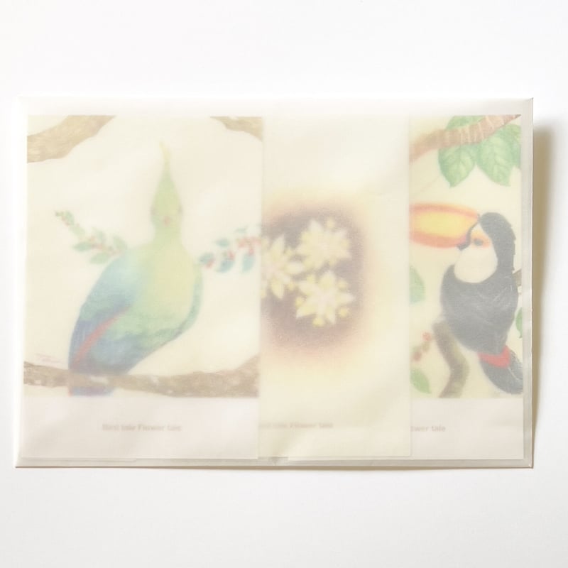 【原画】『冒険の旅へ』（鳥の絵　ガラクタ　アンティーク　森林　パステル画） 絵本「タカターニャの森」 出版記念ポストカード | バードテイル