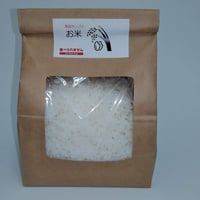 ホンモノそっくり　食品サンプル　お米　500ｇ