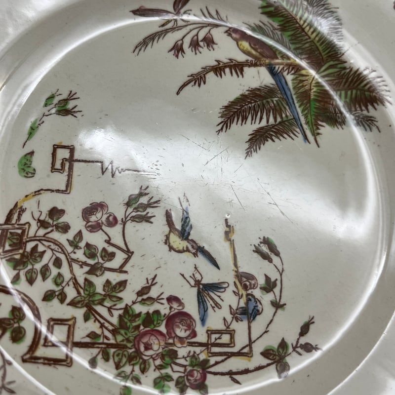 PEXONNE F.F. ペクソンヌ「OISEAUX」 | pétillante