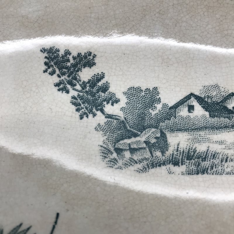 PEXONNE F.F. ペクソンヌ「Champêtre」 ラヴィエ | pétillante