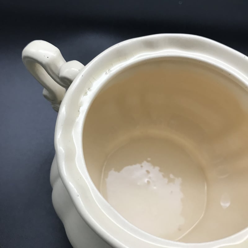 Sarreguemines サルグミンヌ 花リム シュクリエ B | pétillante