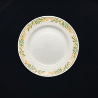 Creil et Montereau クレイユ エ モントロー「MIMOSA」【C】