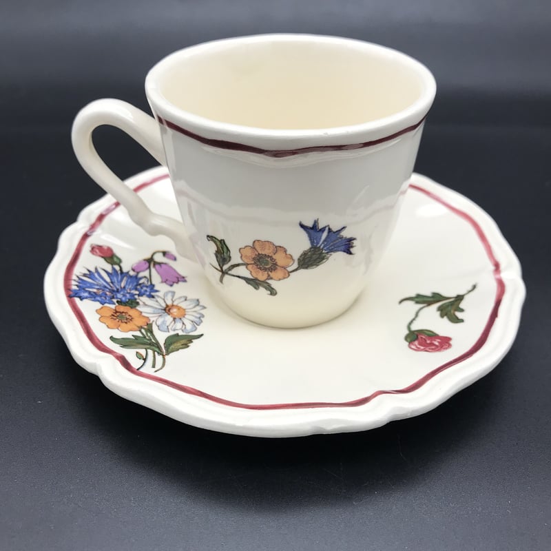 Sarreguemines サルグミンヌ 「agreste」カップ＆ソーサ ー【E