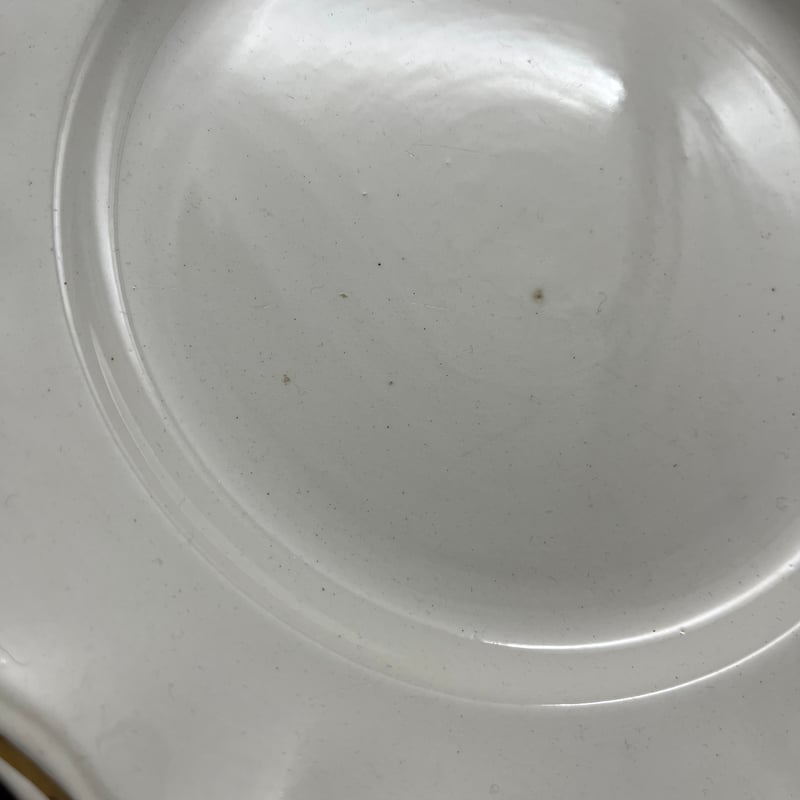 サルグミンヌ　花リム　23㎝　平皿　プレート　2枚　セット 1920年代 サルグミンヌ 花リム ディナー・プレート 平皿 23cm B