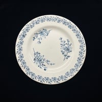 K&G Lunéville リュネヴィル　「PAQUERETTE」 【B】