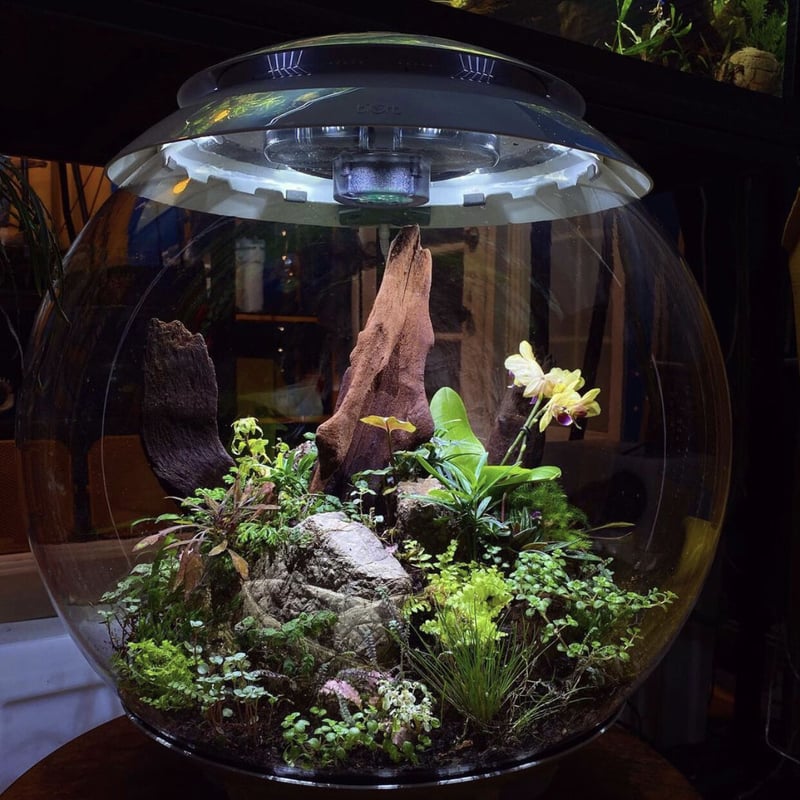 BiOrb AIR60 「RYU-BOKU」 | JABüRO