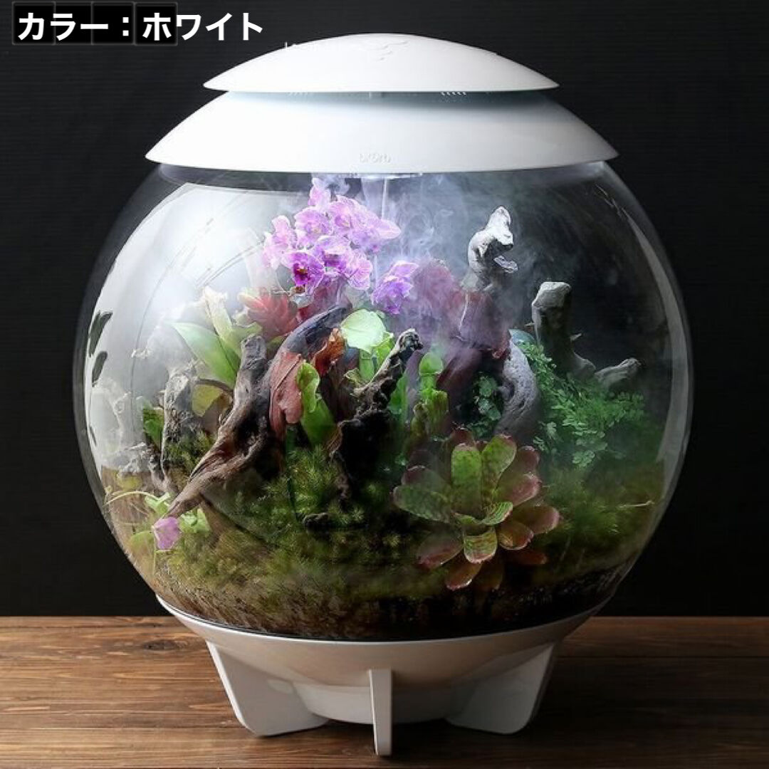 バイオーブエアー60 ブラック 自動化テラリウム 熱帯雨林再現 BiOrb AIR60 「Yakushima」 | JABüRO