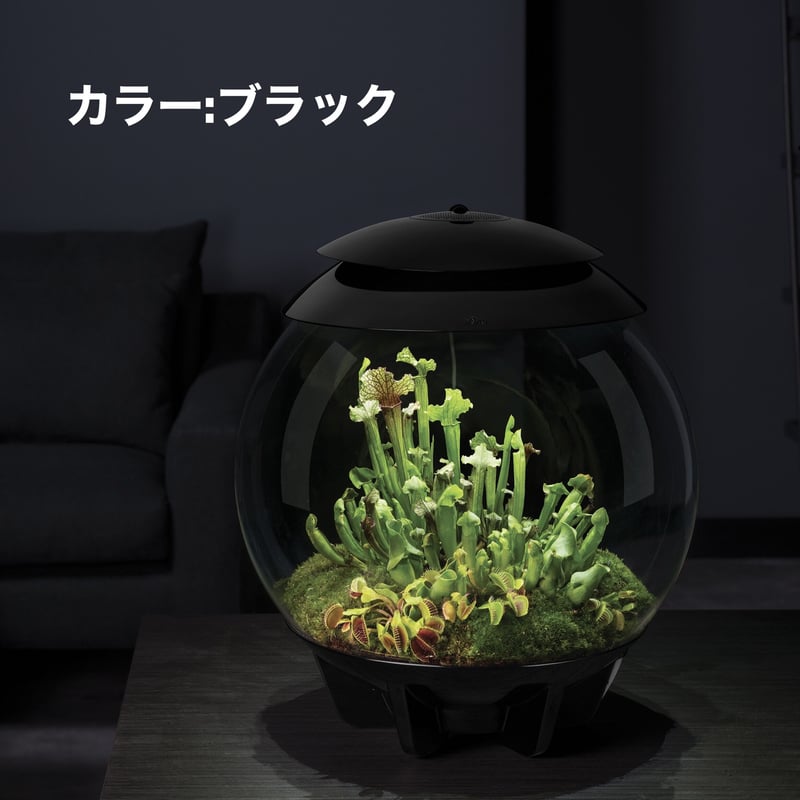 バイオーブエアー60 ブラック 自動化テラリウム 熱帯雨林再現 バイオーブエアー60 ブラック 自動化テラリウム 熱帯雨林再現 BiOrb