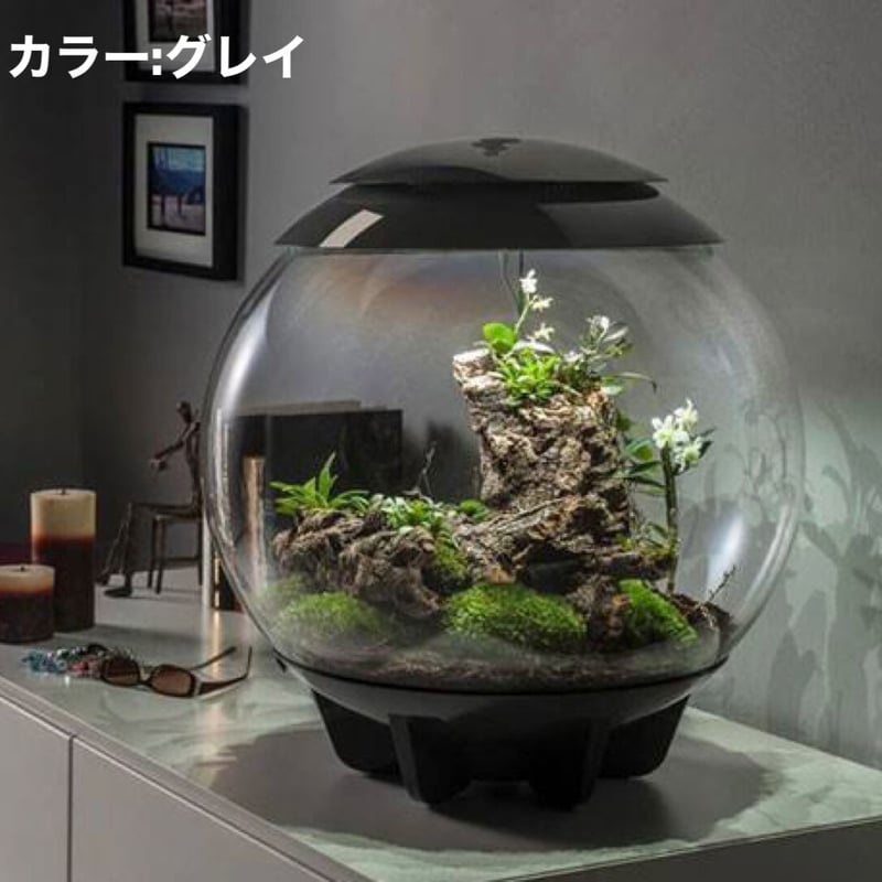 BiOrb AIR60 「Tailor」 | JABüRO