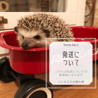 お得セット ハリセレブごはん&ハリセレブプラス〜あしもとしっかり