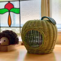 アップルハウス グリーン 青リンゴ