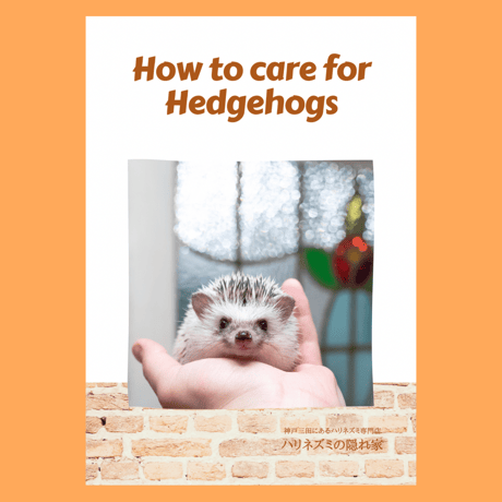 飼育本『How to care for Hedgehogs』
