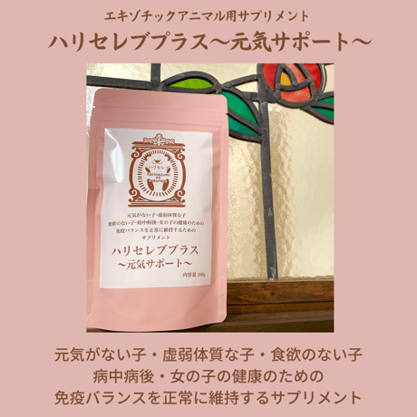 ハリセレブ | STORES