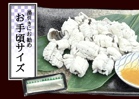 骨切りハモ【お手頃サイズ】（300g程度）