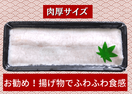 骨切りハモ【肉厚サイズ】（300g程度）