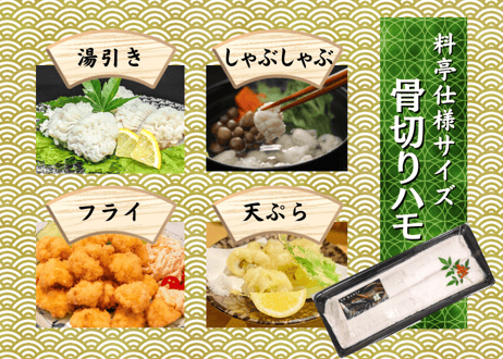 【料亭仕様サイズ】骨切りハモ　1本　（300g程度）