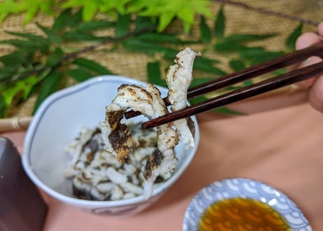 【大ハモ】食べ応え抜群！フライや揚げ物に大満足のフワフワ食感【単品】