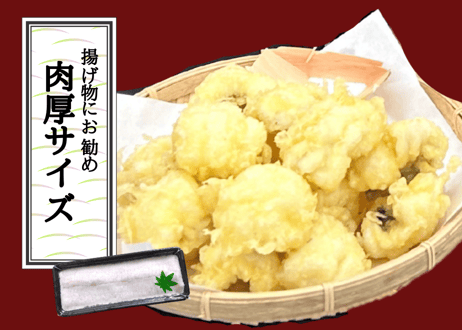 骨切りハモ【肉厚サイズ】（300g程度）