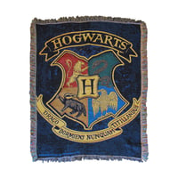 Harry Potter / Blanket