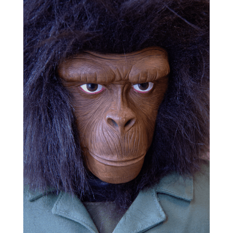" Caesar " PLANET OF THE APES /Head Figure