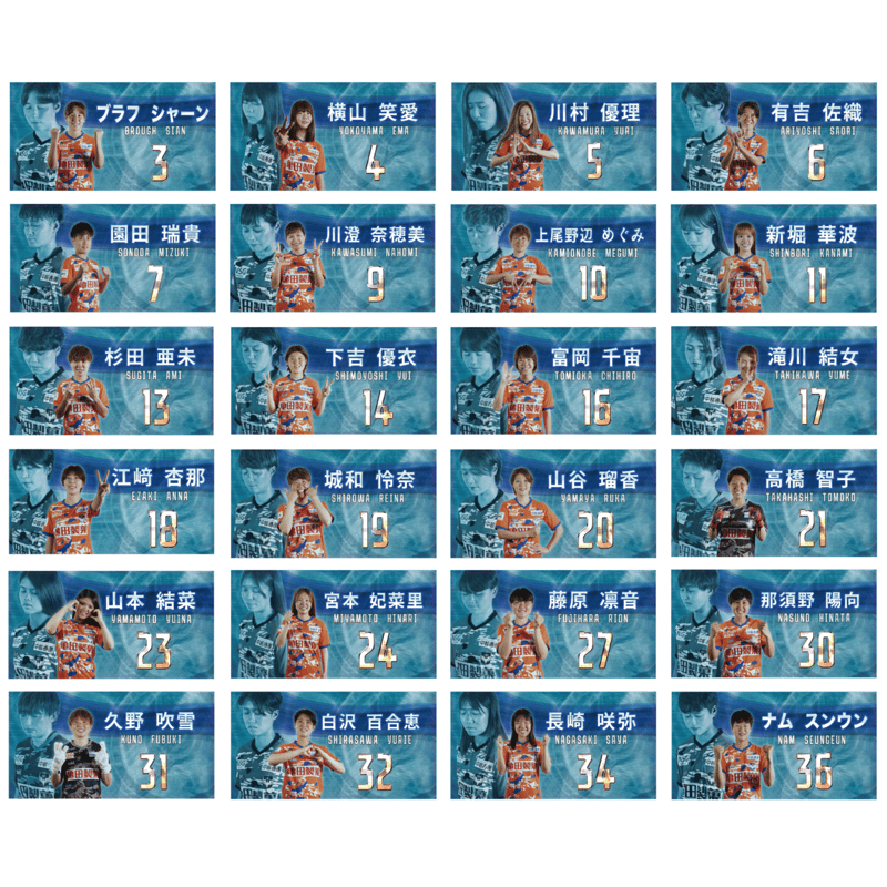 ビジョン風プレイヤーズフェイスタオル | アルビレックス新潟