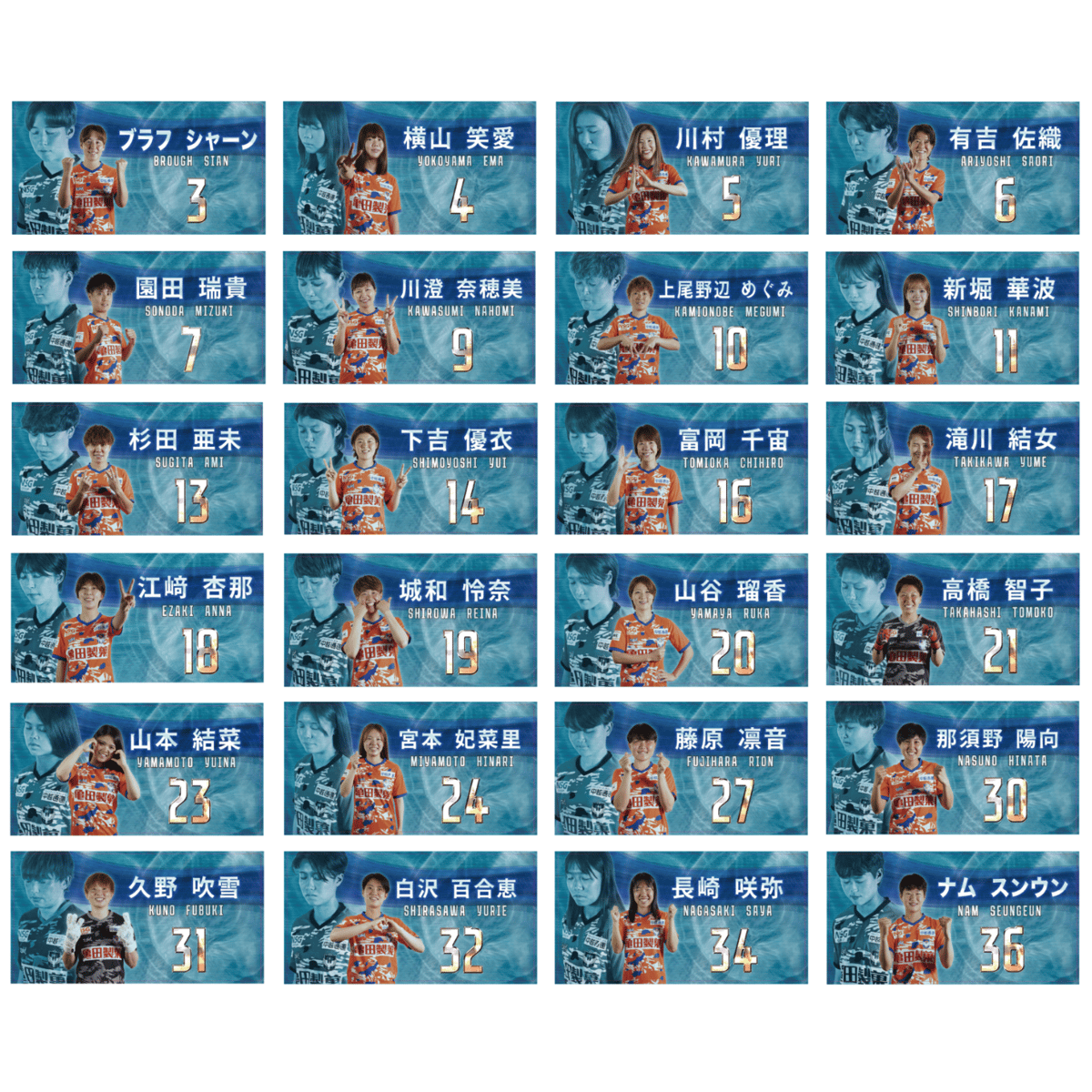 ビジョン風プレイヤーズフェイスタオル | アルビレックス新潟