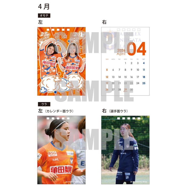2025/26卓上カレンダー | アルビレックス新潟レディース オフィシャル