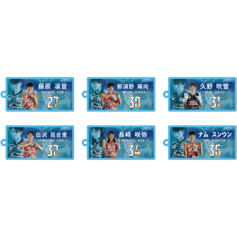 ビジョン風カラーアクリルキーホルダー | アルビレックス新潟