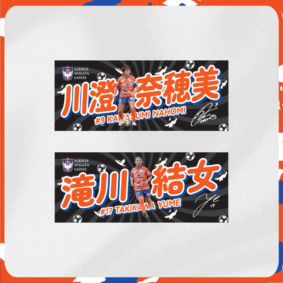 プレーヤーズフォトタオル | アルビレックス新潟レディース