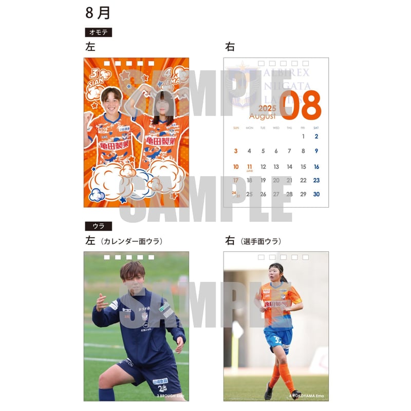 2025/26卓上カレンダー | アルビレックス新潟レディース オフィシャル