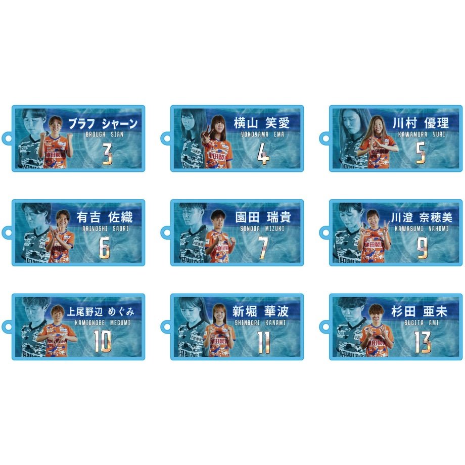 6911ad6c212a4035cc601ce0