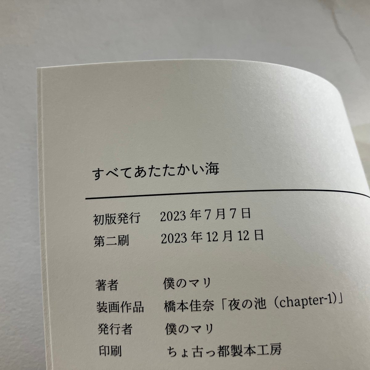 2026年4月21日再入荷】僕のマリ 日記集『すべてあたたかい海』※ひと言