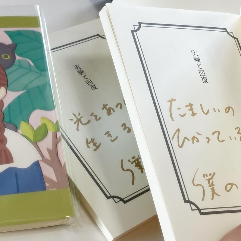 辺見マリ 空白の1095日 サイン 記憶 エッセイ 2026年4月21日再入荷】僕のマリ 日記集『実験と回復』※ひと言付き