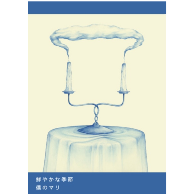 2026年4月21日再入荷】僕のマリ 日記集『鮮やかな季節』※ひと言付き