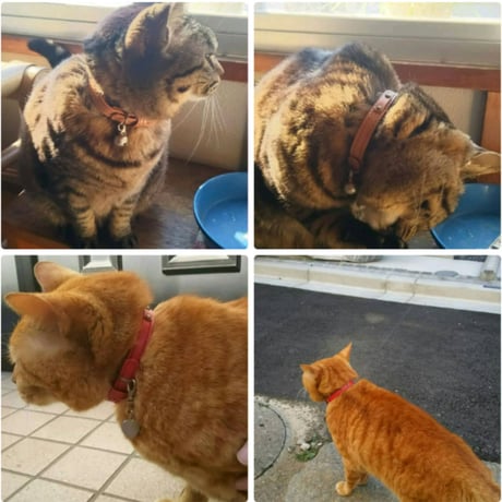 ネコの首輪　革ベルト　全8色