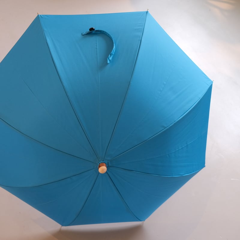 bonbonstore スタンダード長傘 ブルー | geep