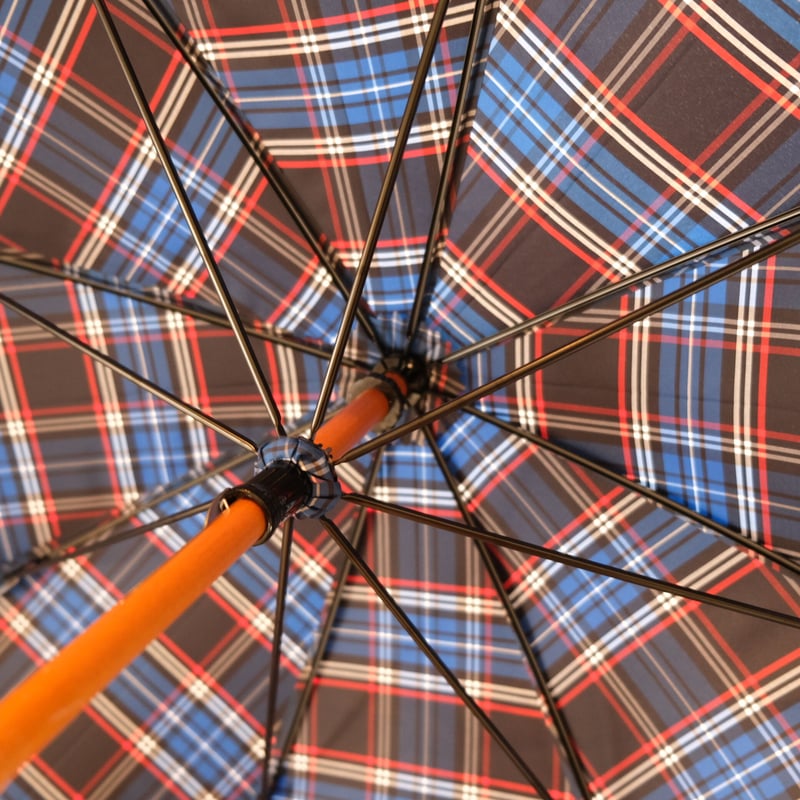 bonbonstore スタンダード長傘 ブルーチェック | geep