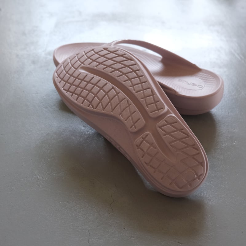 Phallolopus様購入用商品 Amazon | Papo(パポ) ディロフォサウルス PVC PA55035