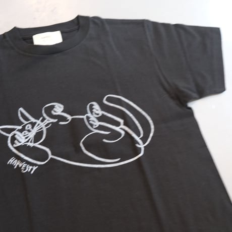 HARVESTY   PRINTED T-SH【CAT】 プリントTee CAT   A52105