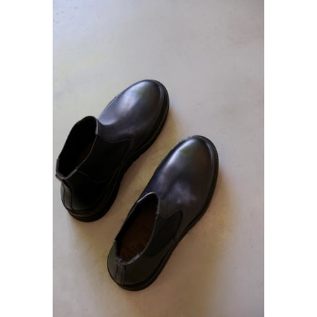 foot the coacher   BRITISH SIDEGORE