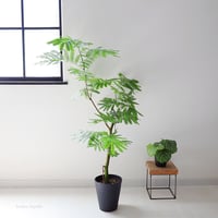エバーフレッシュ｜やさしく揺れる癒しの観葉植物