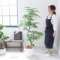 ＜エバーフレッシュ＞150㎝ 曲がり 現品 陶器鉢