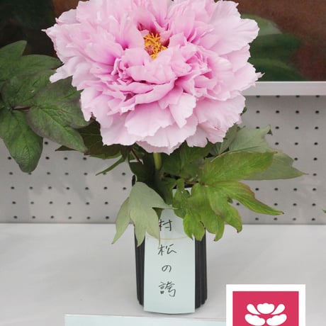 村松の誇