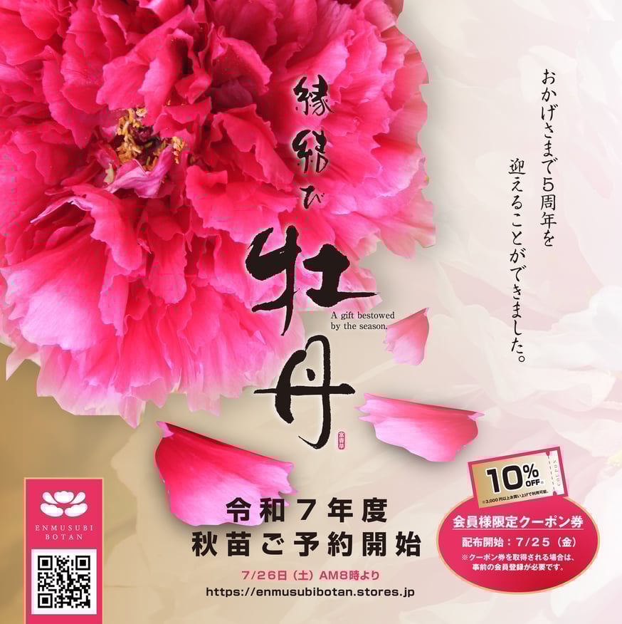 令和7年度 秋苗ご予約開始 | 牡丹・芍薬の通信販売 松本農園通販サイト