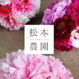 牡丹・芍薬の通信販売 松本農園通販サイト