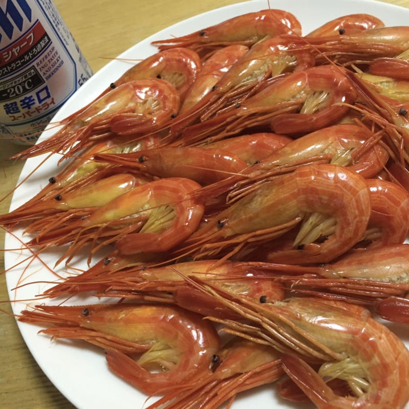 5kg 限定 送料サービス！北海道野付尾岱沼産 北海しまえび子持ち 500g 