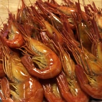 5kg 限定 送料サービス！北海道野付尾岱沼産 北海しまえび子持ち　500g 冷凍
