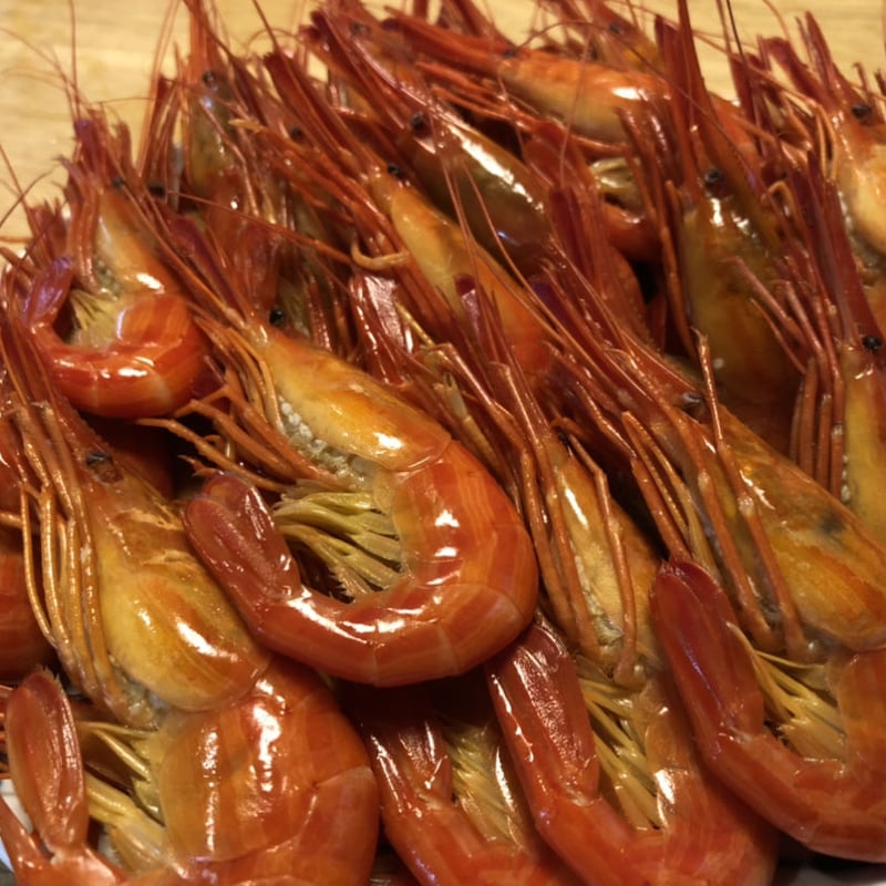 5kg 限定 送料サービス！北海道野付尾岱沼産 北海しまえび子持ち 500g 