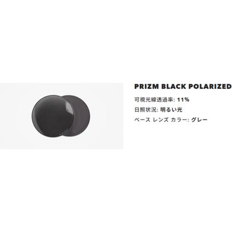 OAKLEY Frogskins Range XL 009503A 偏光サングラス