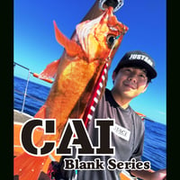 CAI 1pcs Blank Series(バス・ジギング)